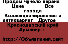 Продам чучело варана › Цена ­ 15 000 - Все города Коллекционирование и антиквариат » Другое   . Краснодарский край,Армавир г.